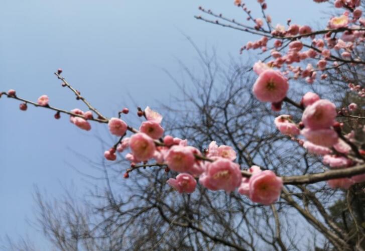 氢能源概念龙头,启动吧!