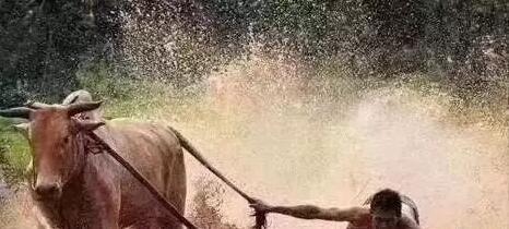 这死了,回购的股份是注销的啊!重大利好我却空