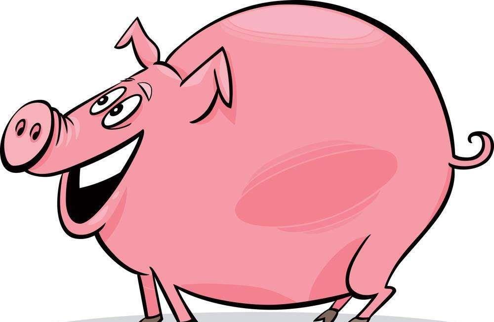 这猪好肥,哈哈!