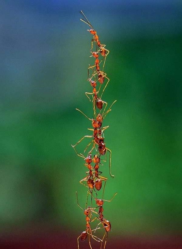 科创板的致命缺陷 不是全员参与的市场不是主