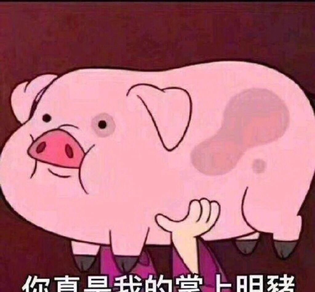 你是我的掌上明猪,坚持到现在不容易呀