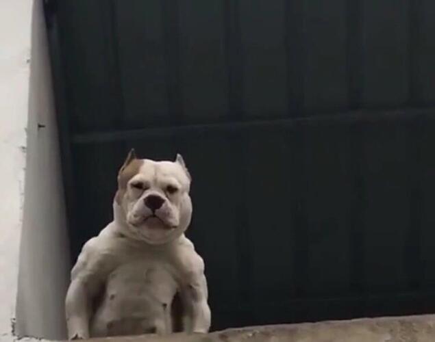 涨几分钱感动得热泪盈眶……