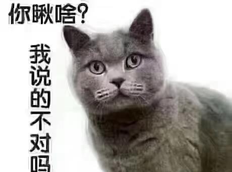 为啥所属板块都在涨,股票就不涨[亏大了][亏大了