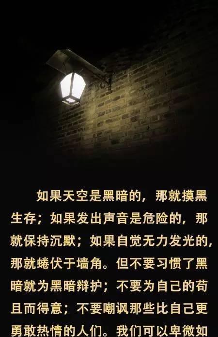 据悉中信持有大量a股etf沽空期权,主力狂拉中信,即将