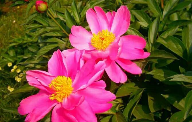 中银国际证券表示,计算机板块估值正处于向上