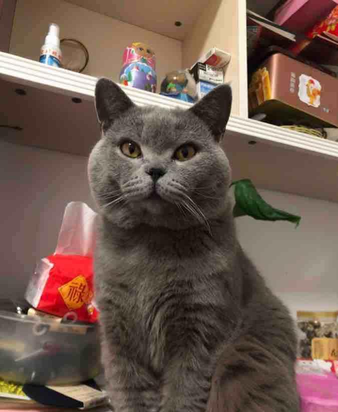 伤心98,深深的海洋好样的,改天请你们吃饭_吉恩5(400069)股吧_东方