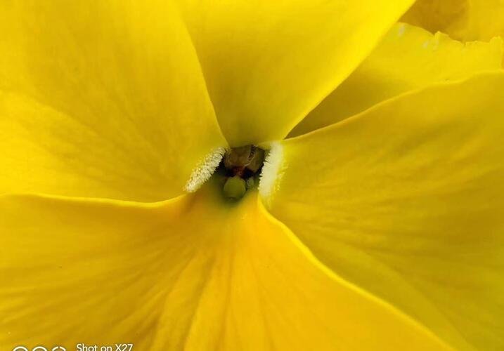 传闻华大智造谋求上海科创板上市!哥在传,你在