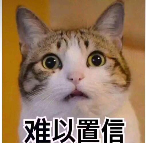 贵州航宇上第一批科创没戏了,因为董事会还没