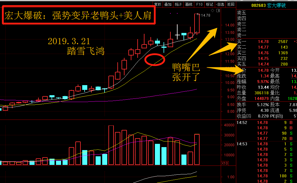宏大爆破宁可做错不可放过美人肩强势变异老鸭头两大宠爱集于一身可遇