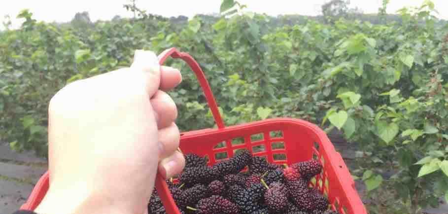 2019-3-21大盘3078-3050双支持考验3108年压