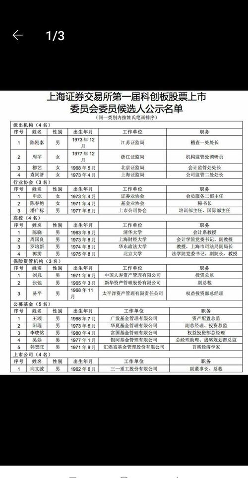 $银亿股份(SZ000981)$ 科创板 2019-03-21 23