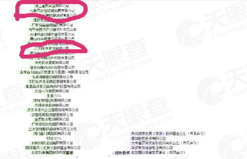 纳闷了同样都是投资国开瑞明,为啥江苏阳光可