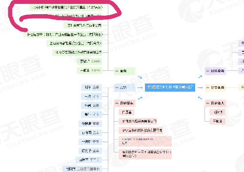 纳闷了同样都是投资国开瑞明,为啥江苏阳光可