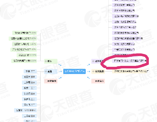 纳闷了同样都是投资国开瑞明,为啥江苏阳光可