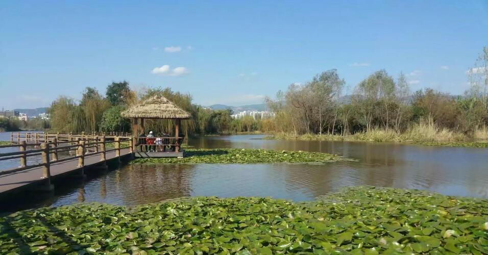 首批科创板受理公司影子股:26家上市公司浮