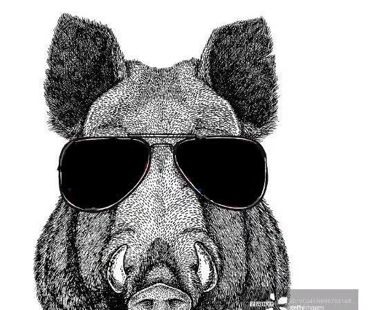 对牧原股份年报和一季度业绩预告干货解读格局