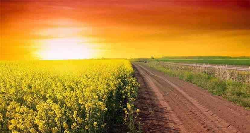 空仓后的表情[献花]