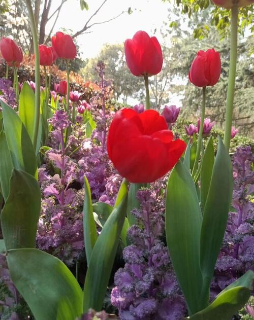 建议长三角的高科技企业做上海科创板的排头兵