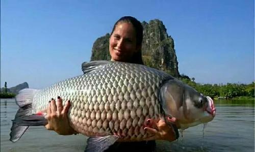 投资者参与科创板股票交易 应符合哪些条件?