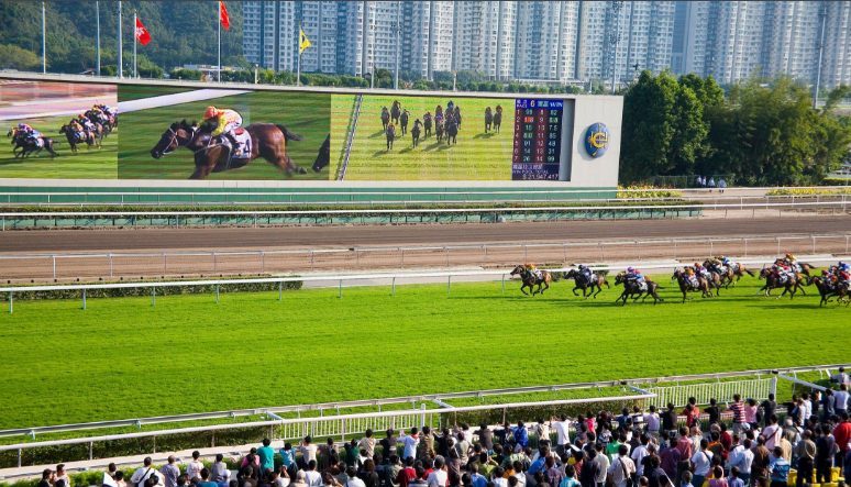 罗牛海南赛马竟技大赛随时开始