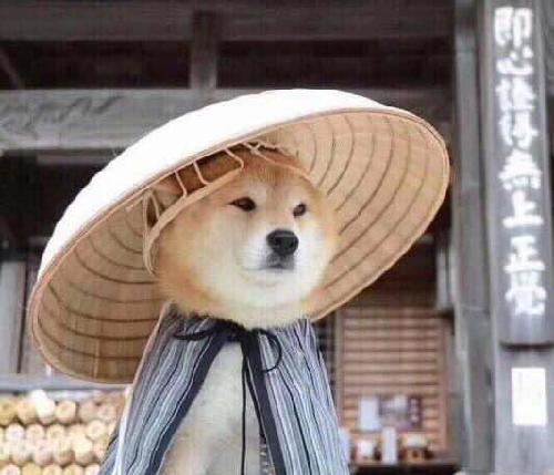 去长油兜两圈回来这股还是16以下信不