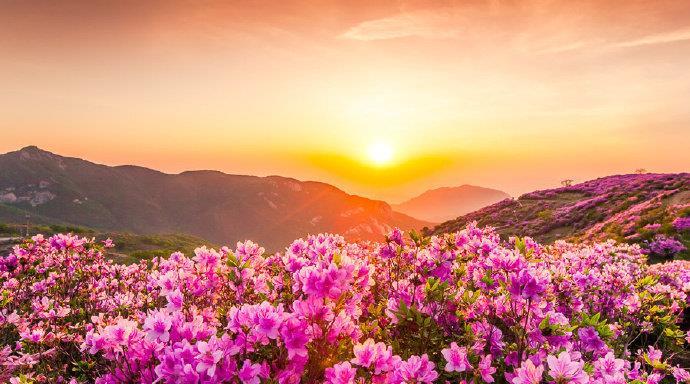 等闲识得东风面万紫千红总是春刚中了每日互动今儿早发现又中了签新媒