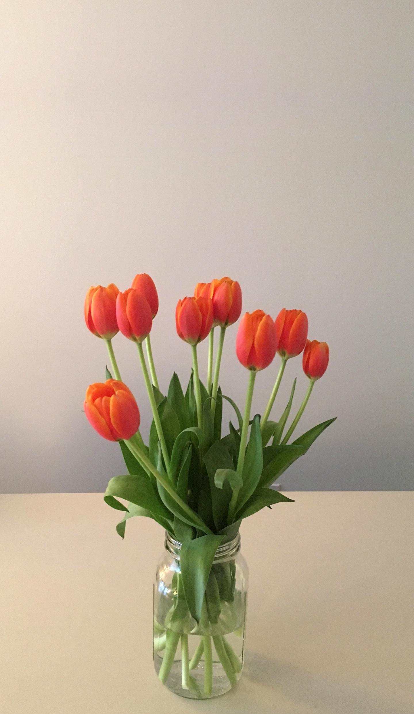 东方电气[毛估估]开盘14分钟内,游资大佬在涨停板吃了10个亿[财力](已