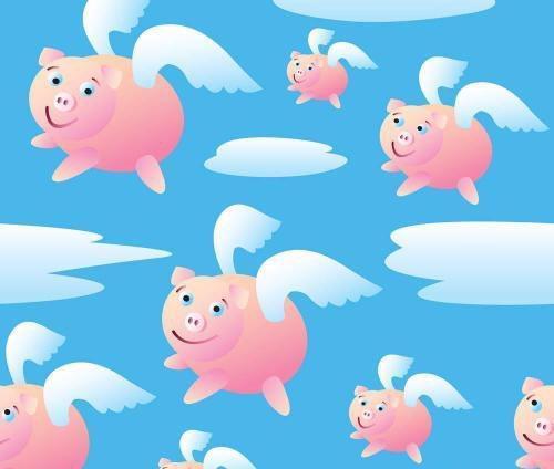              所有的猪都在天上飞