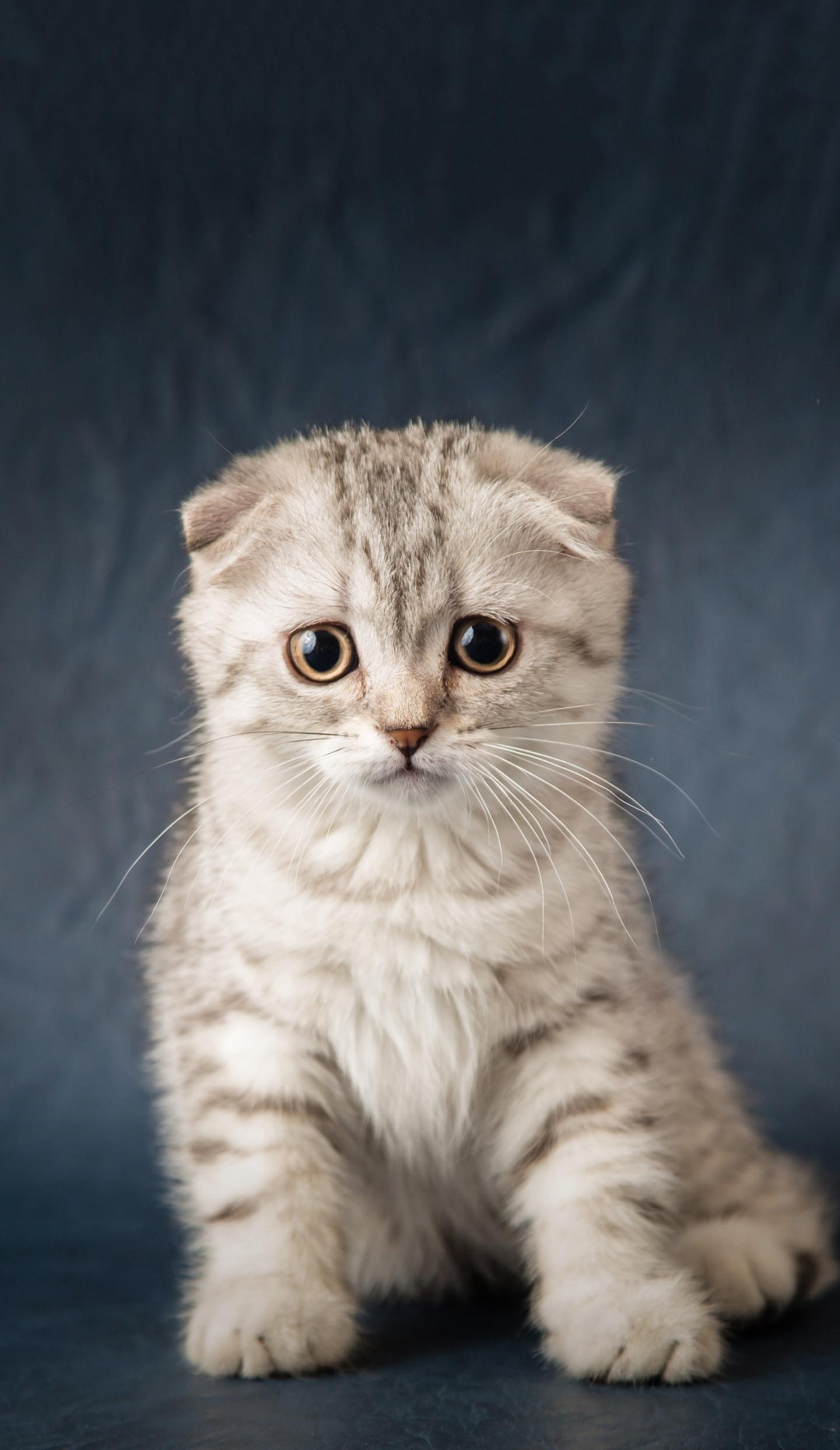 渤海化学(600800)股吧_东方财富网股吧