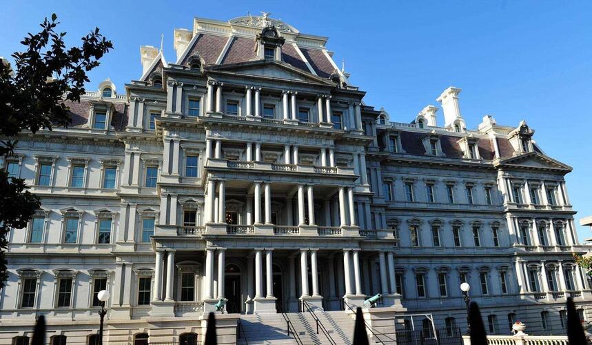 本尊专割九尾沙币的韭菜,大家给我点赞,哈哈哈