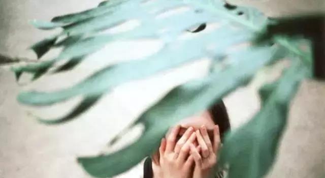 002450的年报以及一系列公告所揭示的事实,应