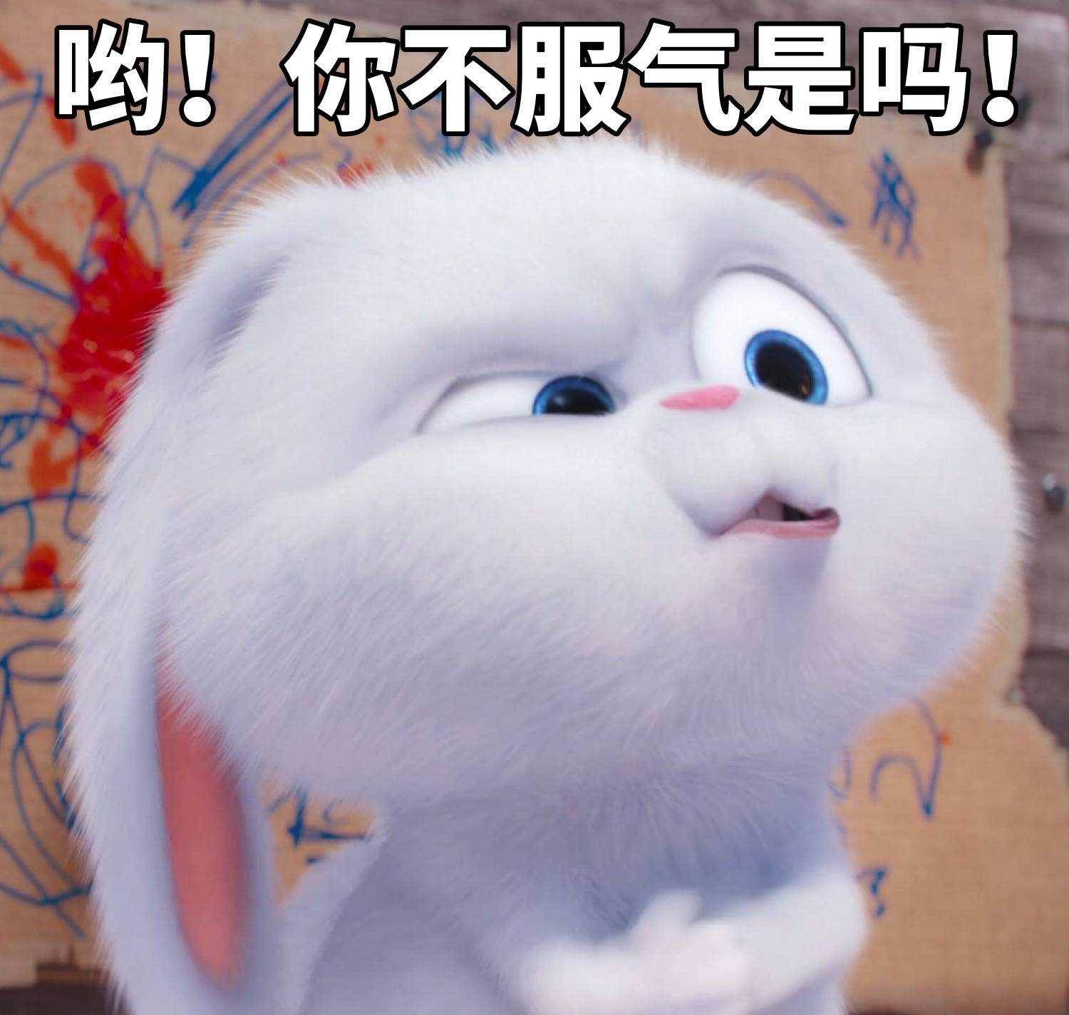 此股吧已沦陷滴汗