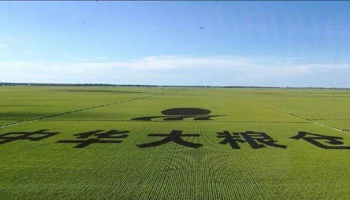 天下糧倉北大荒 一眼望不到頭的北大荒萬畝大地號!