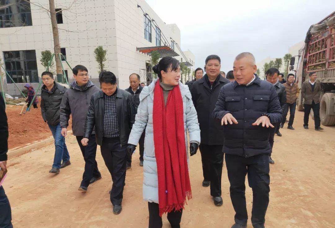 大余速度!钨都振兴新起航