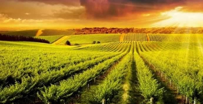 许明阳517黄金1284为起点原油美盘冲高短空做震荡