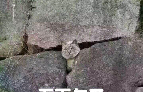 去年十一买了兰太三十手t了一年赚了八百八块多卖了今年十块五买了