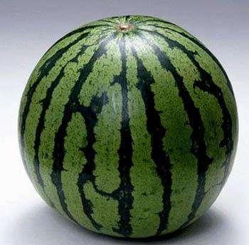 B3ECB19FDF7CF196A3C231CE126F74F5_w350h344.jpg