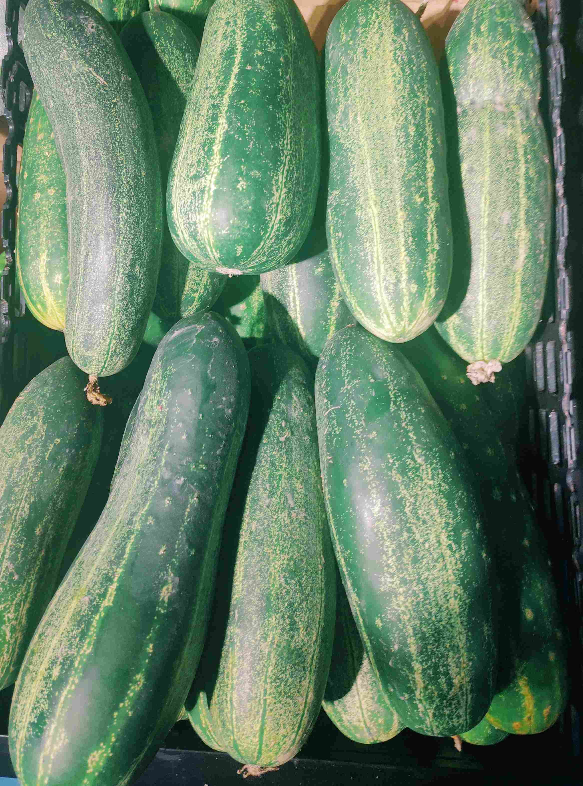 下班路上,买了些蔬菜水果,觉得这个瓜特别可爱,滑溜溜的,圆滚滚的