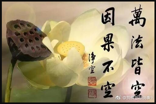 下是智者面对生活的明智选择,只有懂得放下,善于取舍才能事事如鱼得水