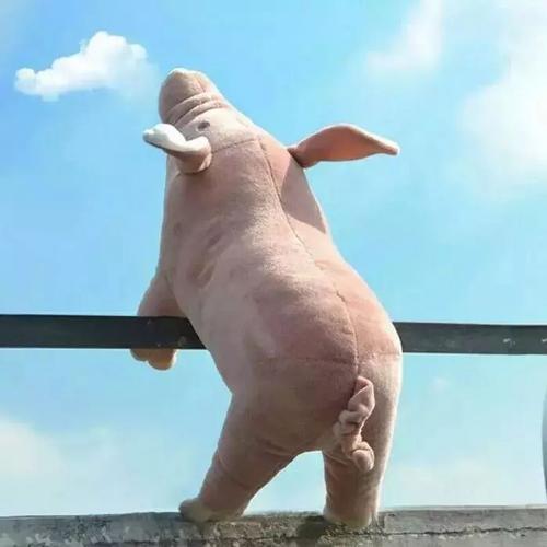 的,一个供应商居然爬到老万面前撒尿,这个世界真是贼好笑点赞0评论:0