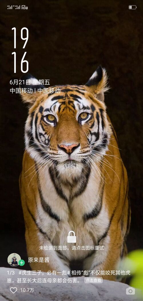 一动不动是王八!