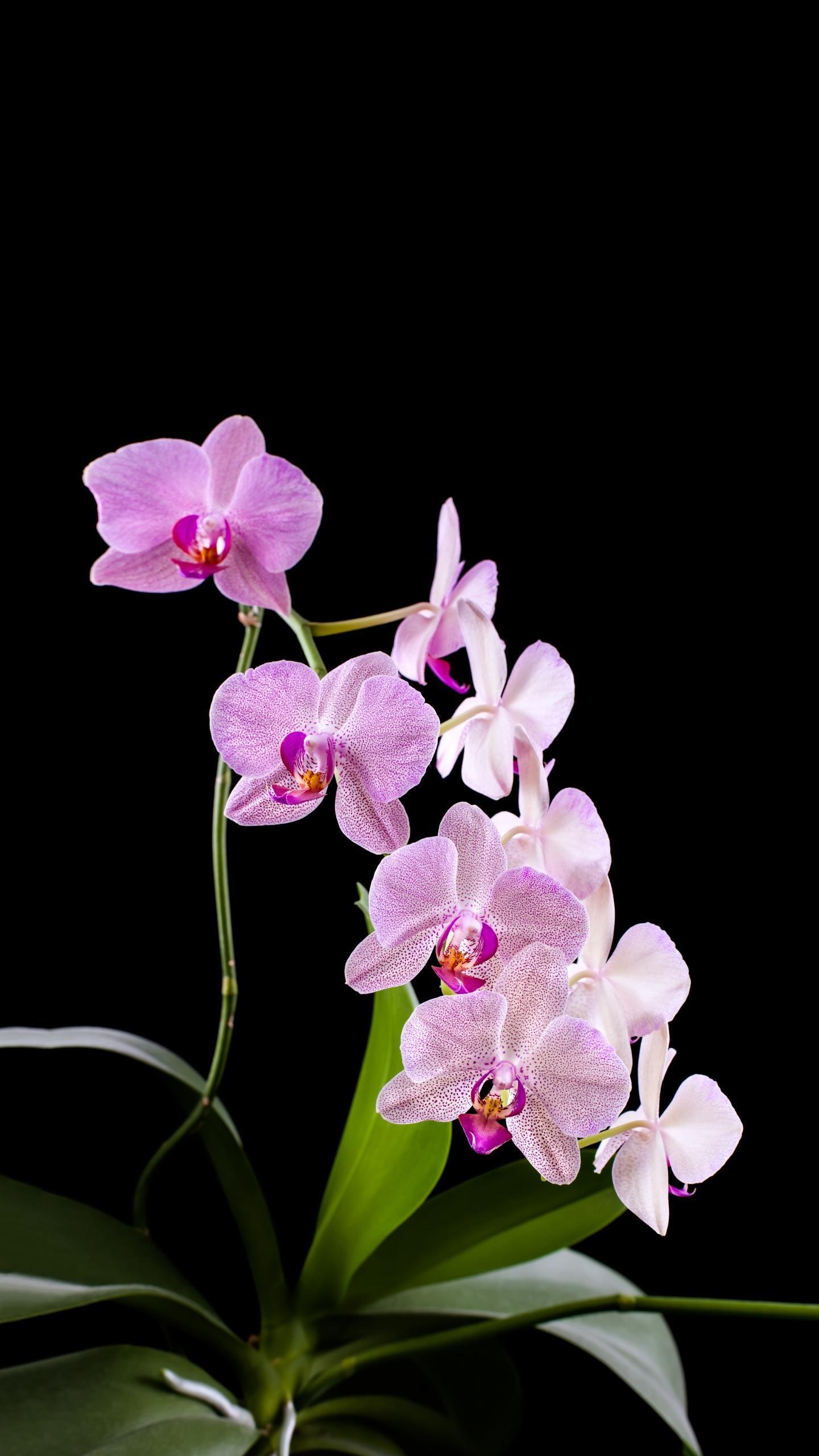 渤海化学(600800)股吧_东方财富网股吧