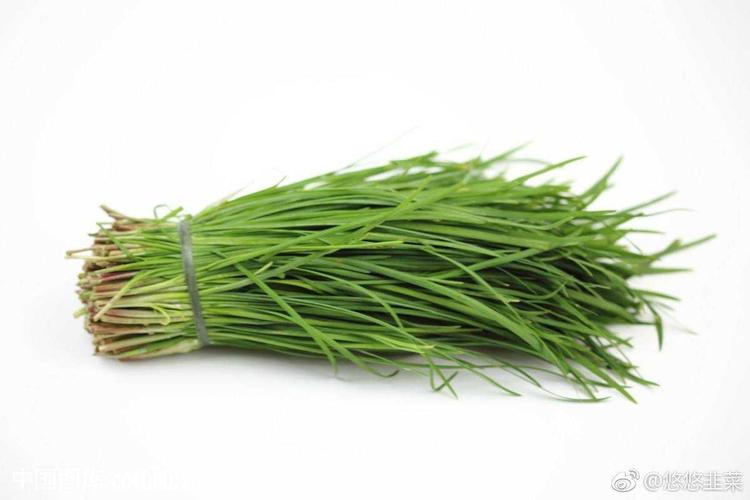 都闪开。绿帽子王我当定了!