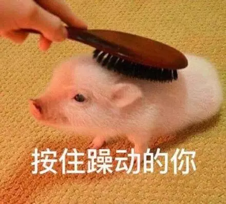 2016年初至今,收益率跑输了把钱提出来放床板下,那