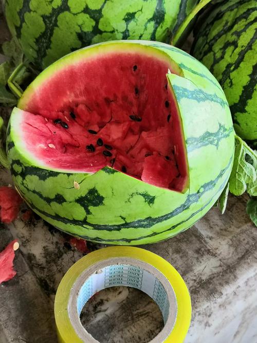从事食品质检的工作者注意:市场上出卖西瓜新花招,西瓜摊引蜜蜂揽生意