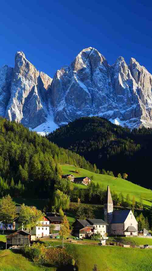 我一进来就看见常威在打来福