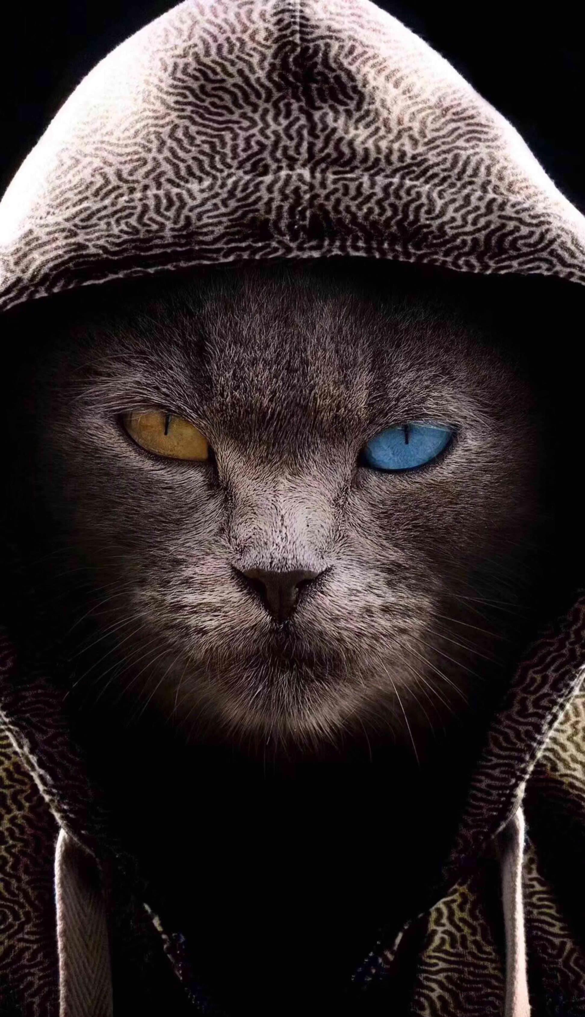 在工布江达县巴河镇投资建立了西藏东元发酵火腿项目