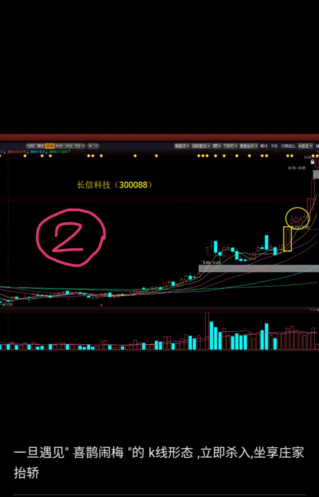 冬去春来喜鹊闹梅三峡新材否极泰来