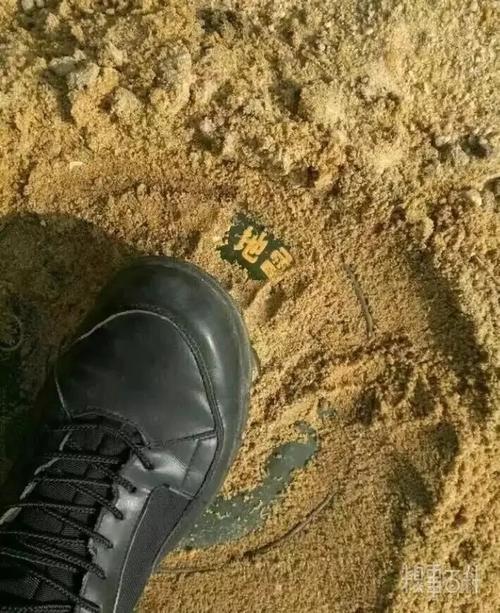 哎踩雷了有图有真相