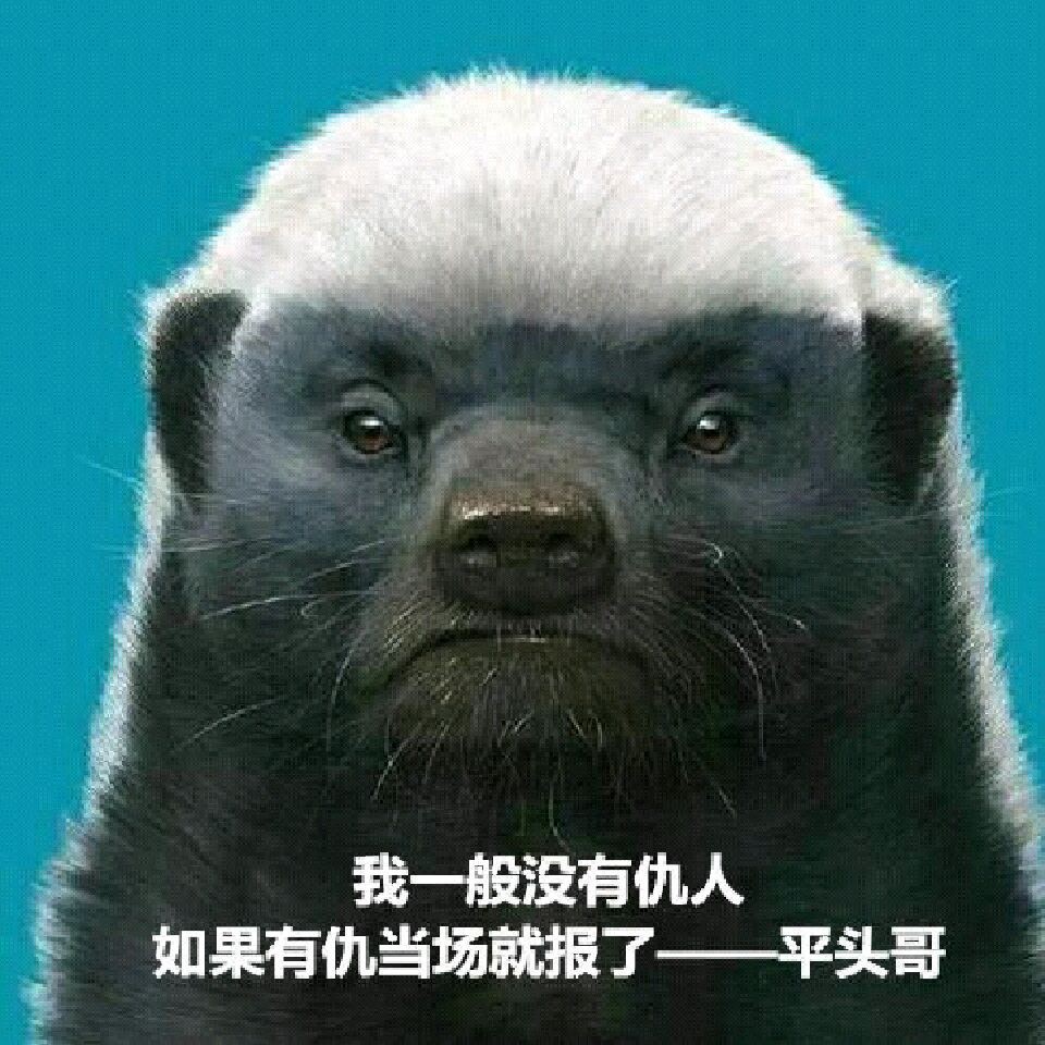 阿里平头哥首交货发布玄铁910处理器让芯片成本降低一半